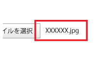 「ファイルを選択」の右にファイル名が表示されれば完了