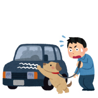 休日の散歩中に、犬が車にのぼり傷をつけてしまった